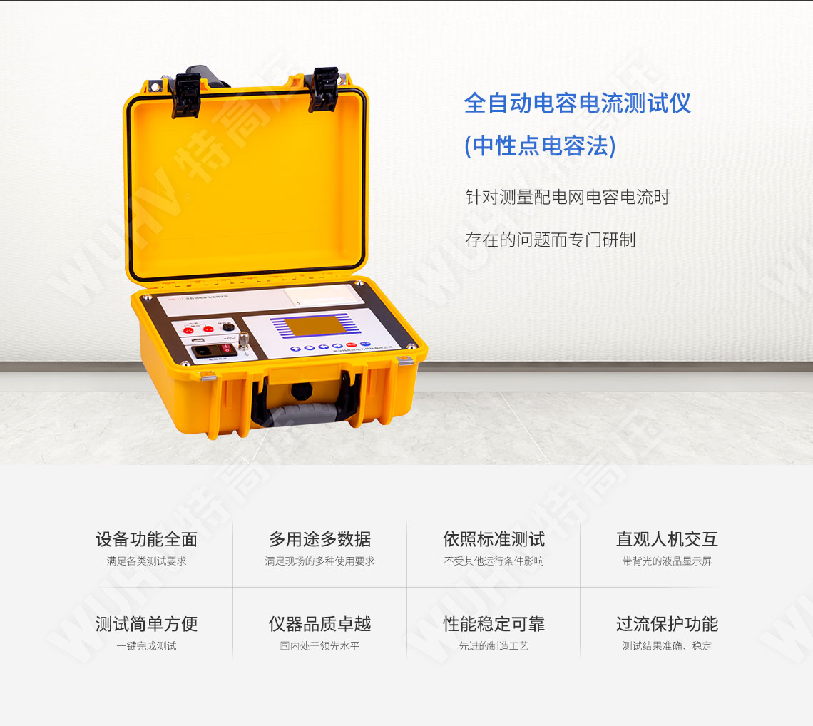 電容漏電流測(cè)試儀