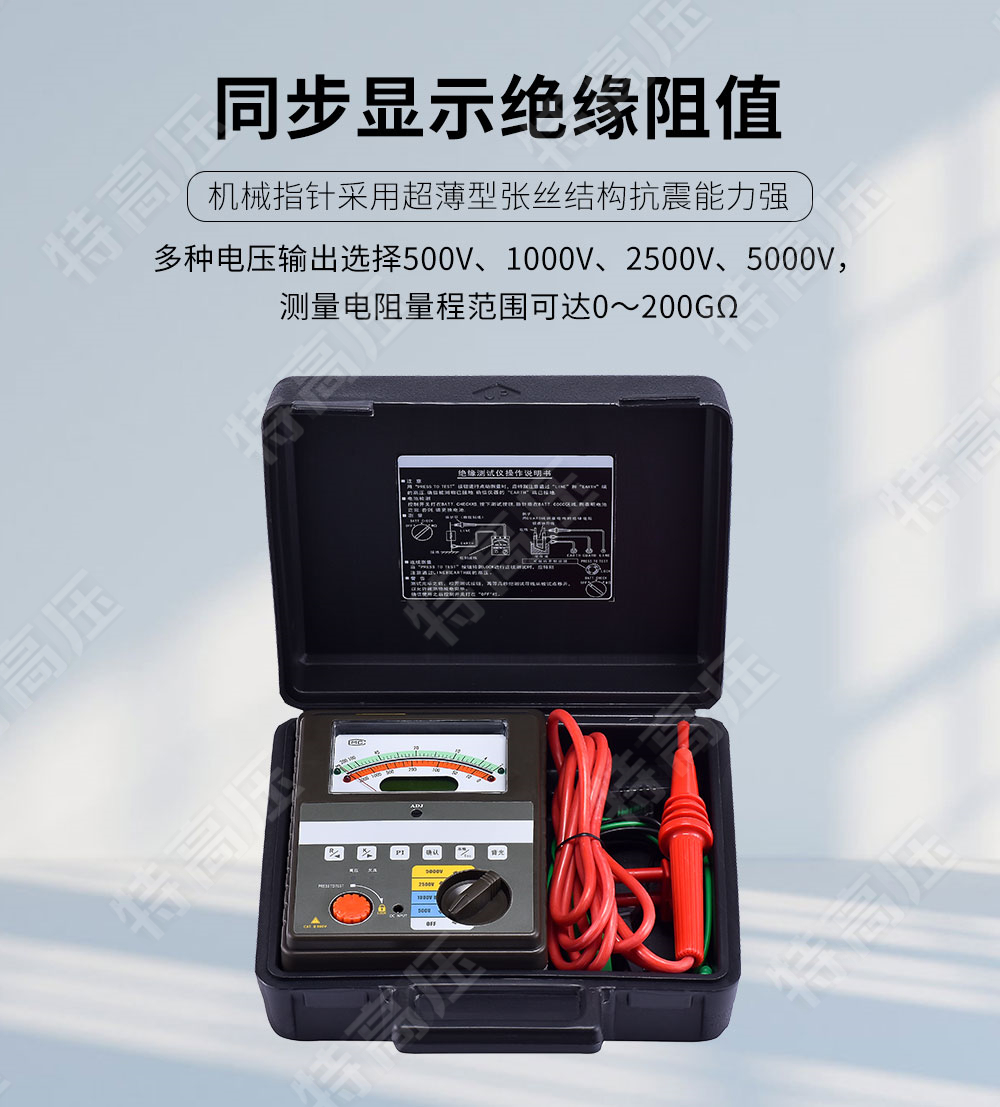 BC2010 智能雙顯絕緣電阻測試儀(四檔)(圖2) 絕緣電阻測試儀