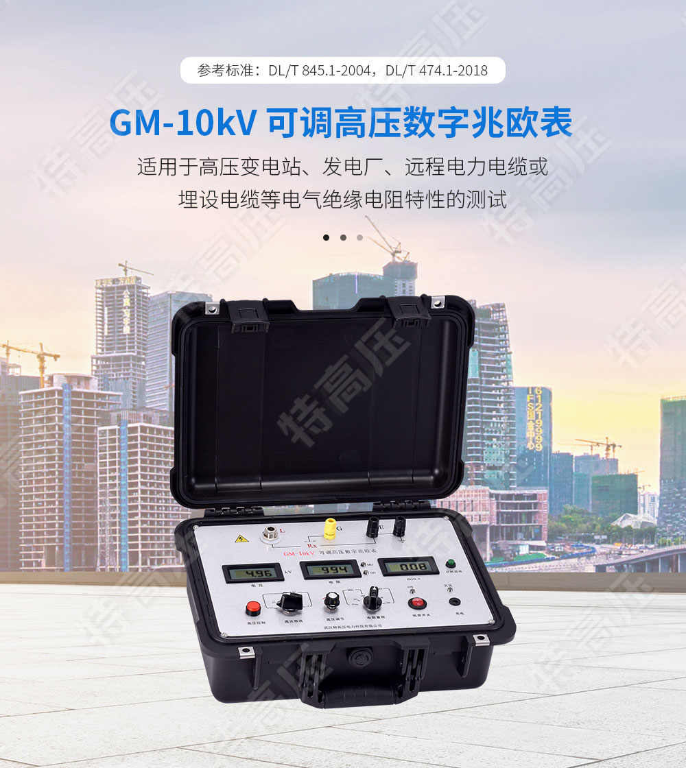 GM-10kV 可調(diào)高壓數(shù)字兆歐表(圖1)