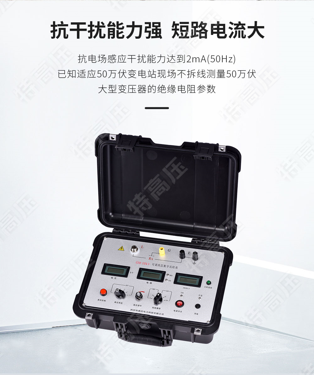 GM-10kV 可調(diào)高壓數(shù)字兆歐表(圖2)