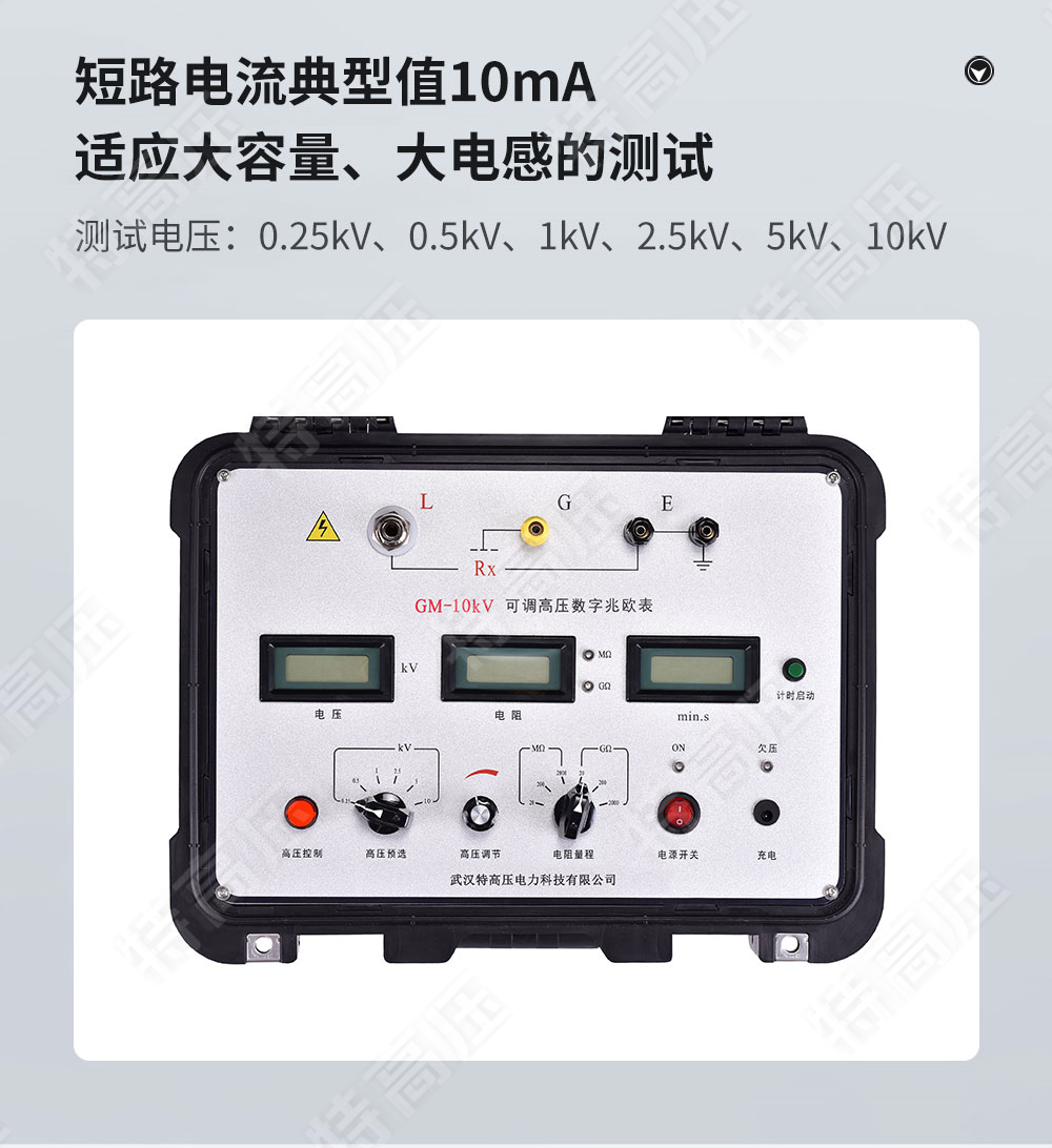 GM-10kV 可調(diào)高壓數(shù)字兆歐表(圖3)