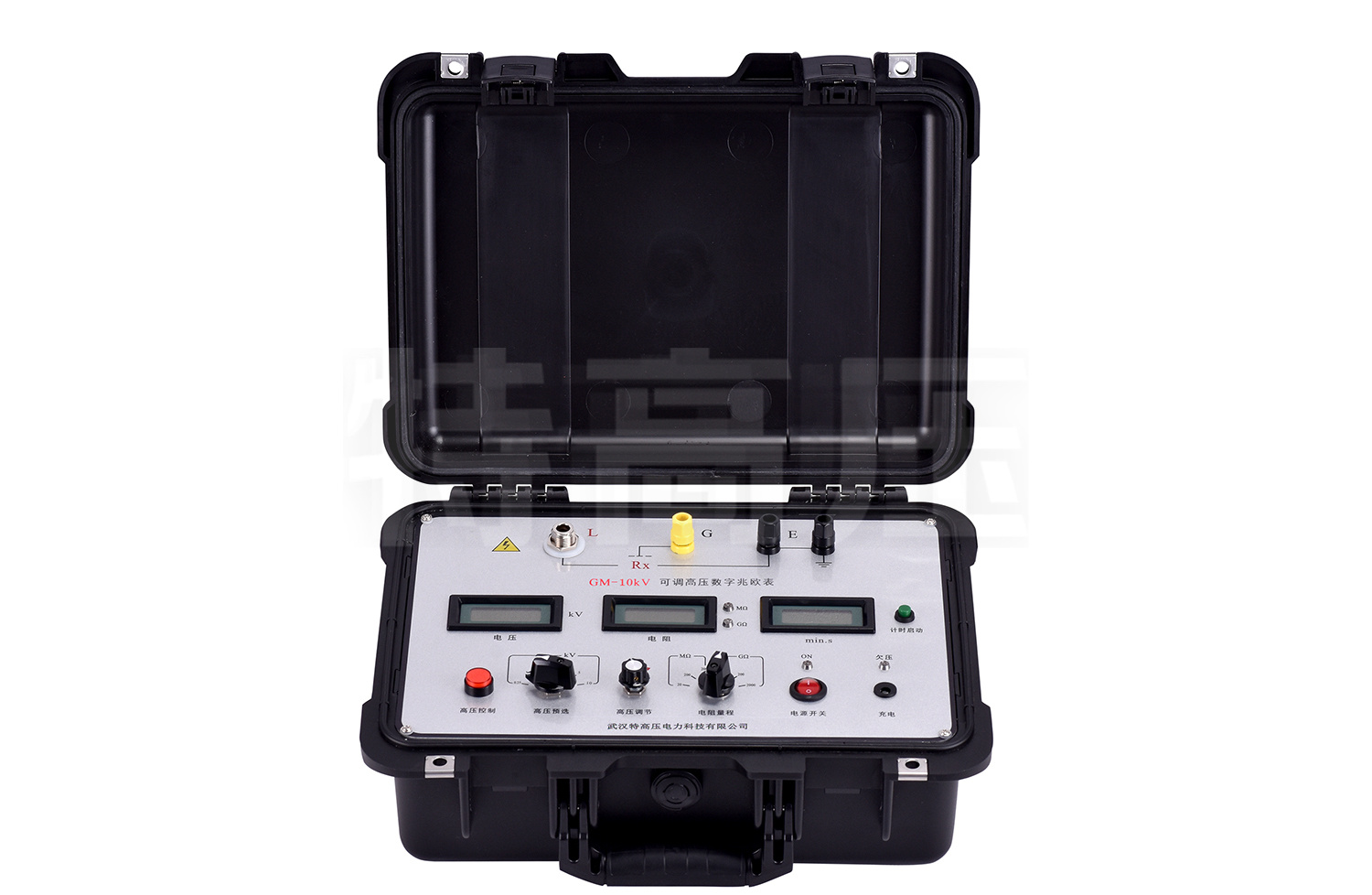 GM-10kV 可調(diào)高壓數(shù)字兆歐表