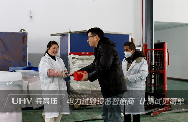 開業(yè)大吉！特高壓電力開啟全新征程(圖2)