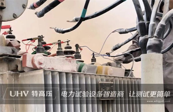 售后風采！武漢特高壓技術人員為湖南客戶提供技術支持(圖1)