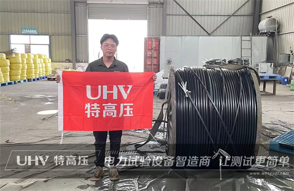 直擊售后現(xiàn)場!武漢特高壓售后團隊為河南客戶提供技術支持(圖1) 直擊售后現(xiàn)場!武漢特高壓售后團隊為河南客戶提供技術支持(圖1)